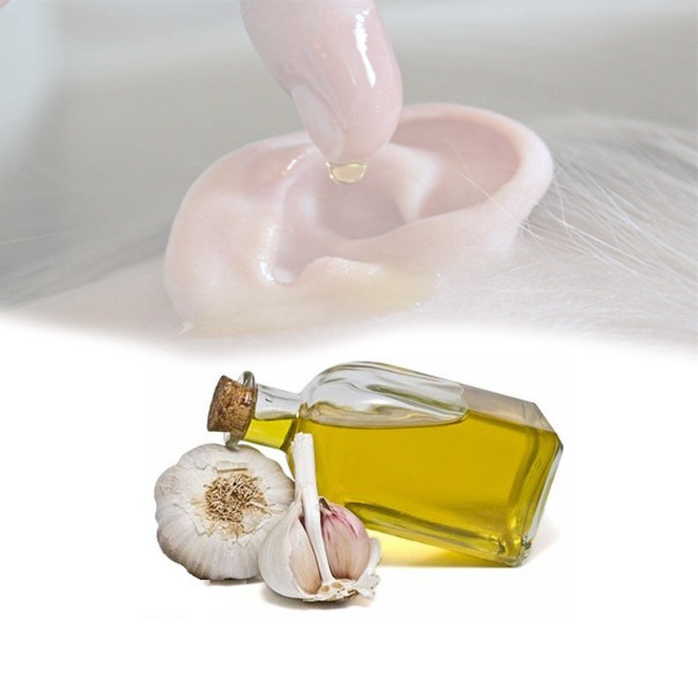Olive oil with garlic for ear infection - The Meander Shop