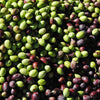Olive varieties of Crete - The Meander Shop